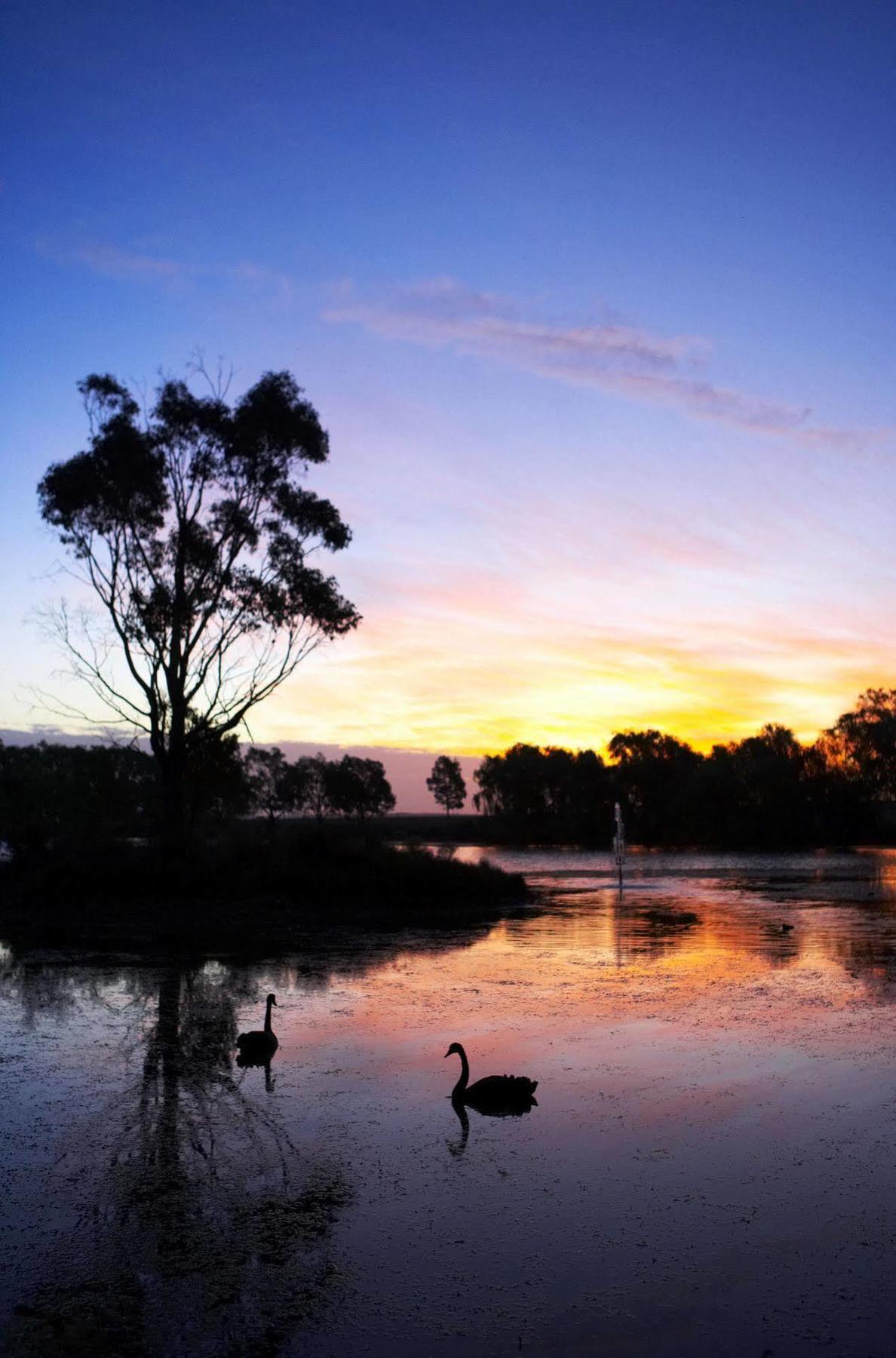 Club Wyndham Ballarat, Trademark Collection By Wyndham Esterno foto